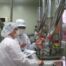 hygienic door solutions for food processing plants
